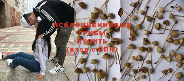 эйфоретик Абинск
