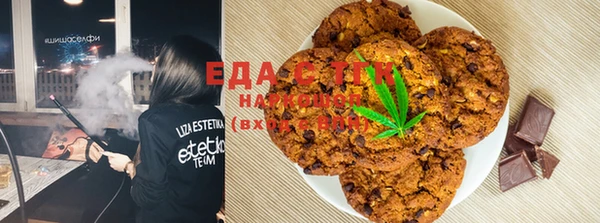 индика Россошь