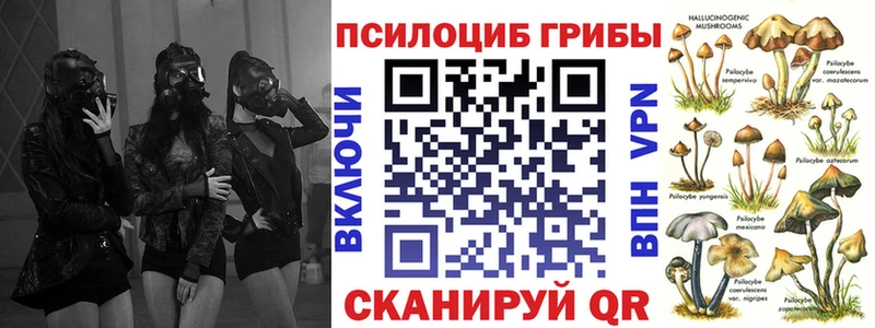 Галлюциногенные грибы Psilocybe  mega ссылка  Карабаново 